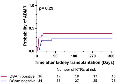 Memory B-cell derived donor-specific antibodies do not predict outcome in sensitized kidney transplant recipients: a retrospective single-center study